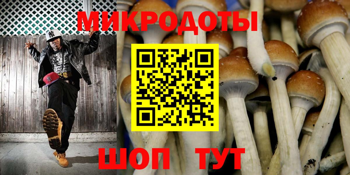 Псилоцибиновые грибы Psilocybine cubensis  Вход с VPN  Гулькевичи 