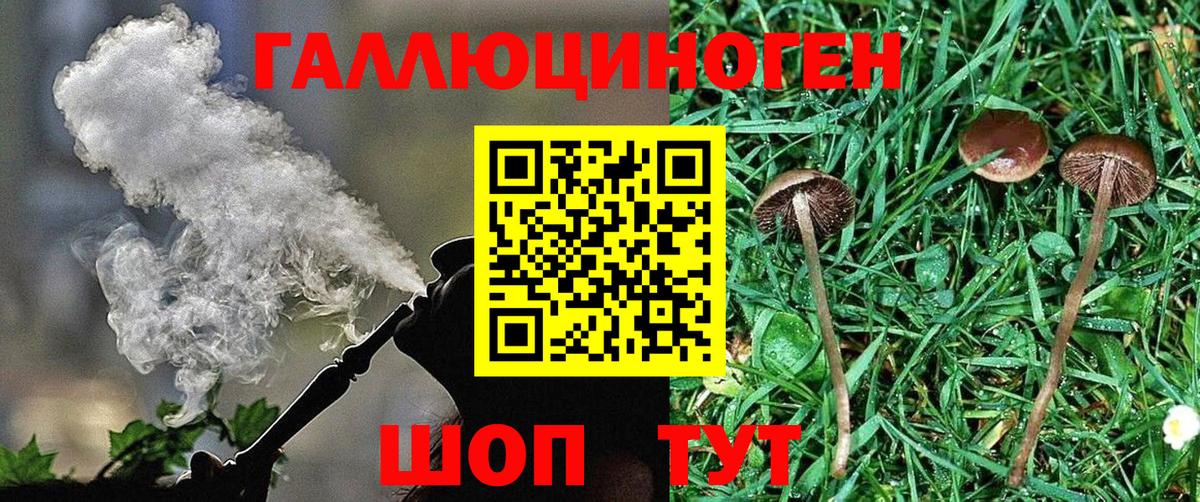 Галлюциногенные грибы Magic Shrooms Гулькевичи